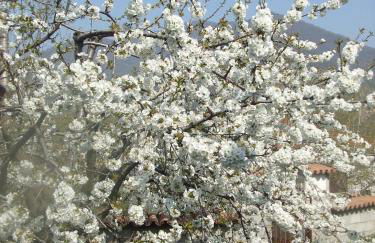 Agriturismo Cascina Rossano - Foto 49