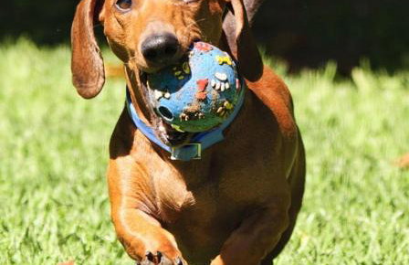 Ferienhaus Storchenblick - Foto 32