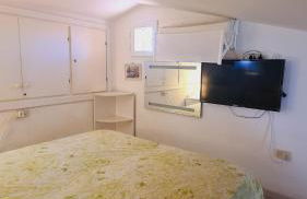 Stella di Coda Cavallo - Foto 13