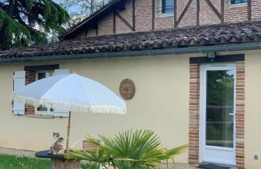 Aux 40 Écus - Gingko - Foto 1