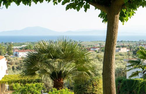 Mirovili House - Foto 7