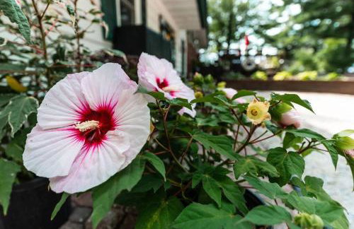 Big Blue Lake Cottages, LLC - Cottage #5 - Foto 8