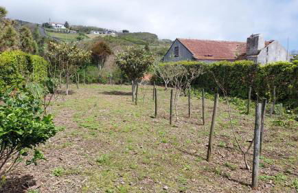 Retiro das Camélias 1 - Foto 45