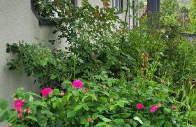 Dom nad jeziorem Oblasek - Foto 10