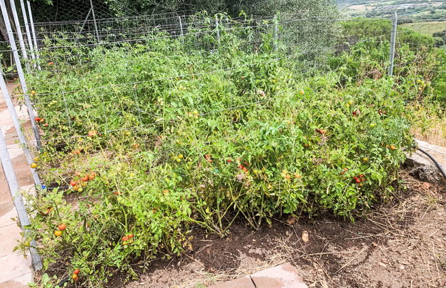 La Tordara - Foto 57