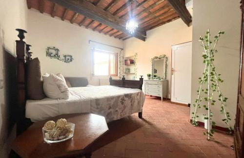 Villa Versilia-Mare e Monti - Foto 23