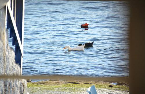 Captain's Boathouse, Klima Beach - Foto 44