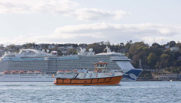 Cork Harbour Boat Cruise - Foto 5