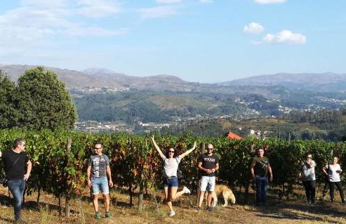 Quinta de Santa Marinha - Foto 12