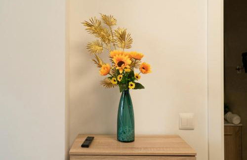 Oshun Mirasierra - Foto 31