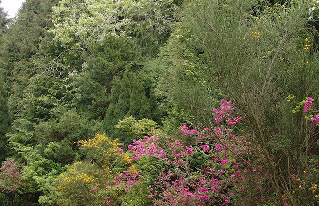 Quinta de Santo António da Serra - Foto 31