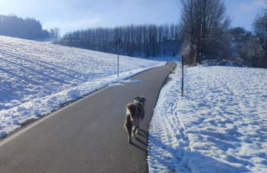 Holly-WOOD Allgäu Ferienwohnung - Foto 10