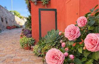 La Cartomante di Bonaparte - Foto 32