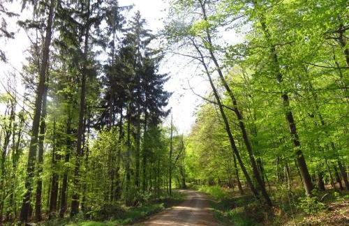 Ferienwohnung Marianne und Heinz - Foto 34