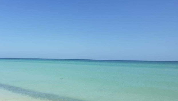 Crystal clear waters of Celestún