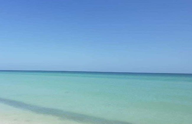 Sisal & Celestún Tour - Photo 5