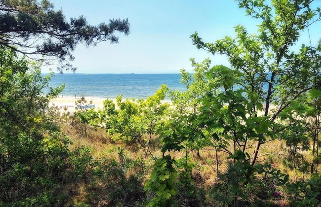 Apartment in Mrzezyno by Blue Flag Beach - Photo 27