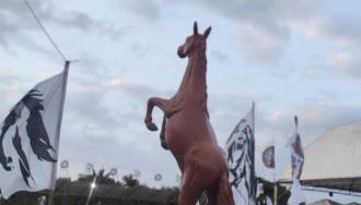 Hoste sol nascente - Foto 2