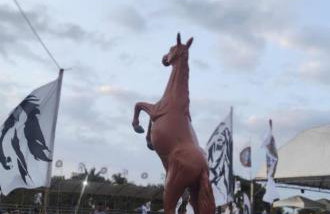 Hoste sol nascente - Photo 2