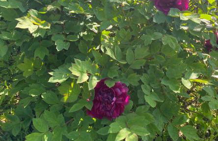 Ca d Andrea - Foto 6