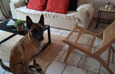 Les Malous - Foto 30