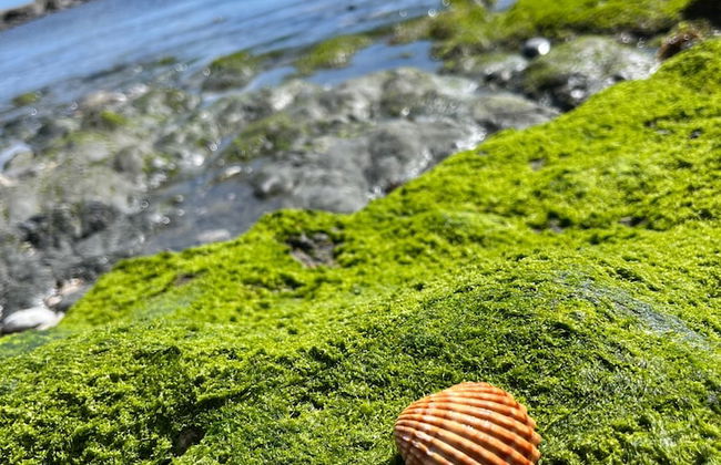 Premium Luxury-casares Del Mar-seaside Apartment - Foto 20
