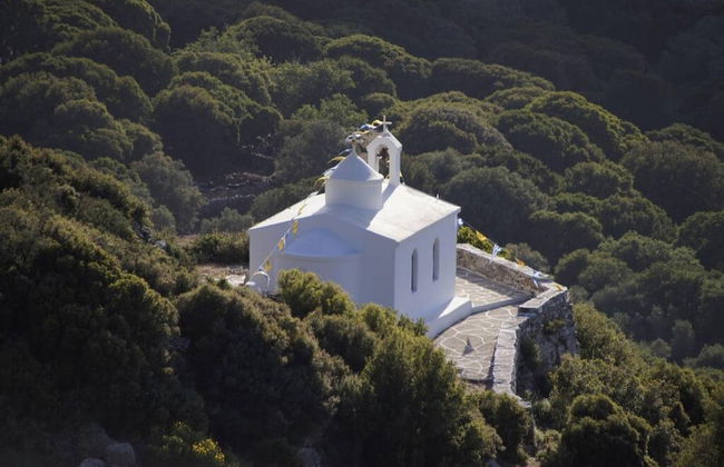 Giannakis Filoxenia - Foto 44