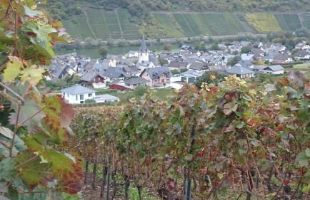 Ferienwohnungen Am Bruttiger Moselsteig - Foto 71