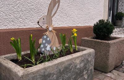 Ferienwohnung am Berg - Foto 16