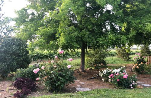 Monte da Boavista - Country family house - Foto 7