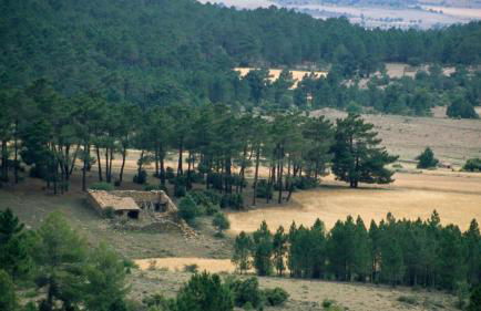 La Casa Grande - Foto 65