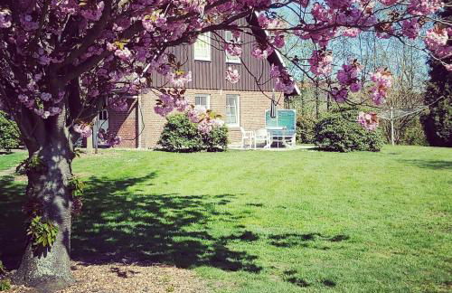 Appartement 2 Einzelzimmer Altes Land Jork bei HH - Photo 1