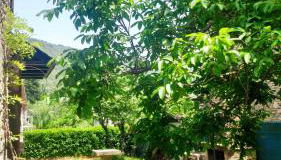 Casa Irama - Casa rural para grupos cerca de Aínsa - Pirineo Aragonés - Foto 3, Garden