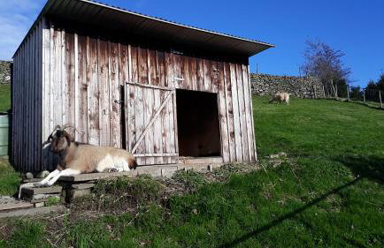 Little Burbank - Foto 17