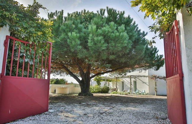 Casa Trivetia - Alentejo - Foto 34