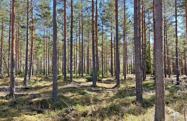 7 Person Holiday Home in Jarna - Photo 27