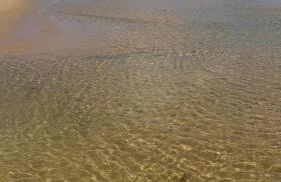 Vista Mar Incrível I Piscina com Borda Cobertura I Novo I Salvador - Ilha de Pharos - Photo 64