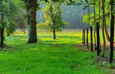Ferienwohnungen Unter den Eichen - Foto 16