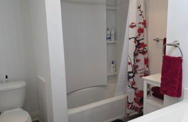 Beautifully Renovated Downtown 1Bed 1 Bath Apt, Pet Friendly - Foto 27