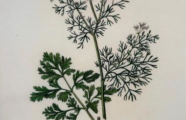 Idyllic rural retreat - Foto 37