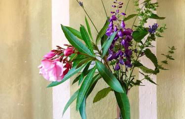 Villa La Lodola - Photo 20