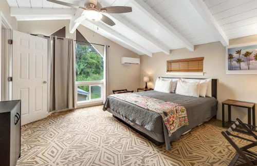 Sea Turtle Life - Photo 27