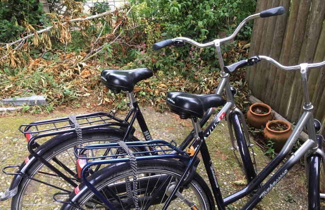 Cozy Cottage in Bergen With Terrace - Foto 25