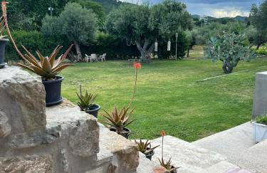 Ktimaoliva1 - Foto 37