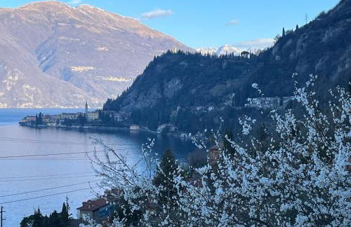 La punta di Varenna - Foto 5