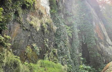 The Groves at Redway Beach - Studio - Foto 16