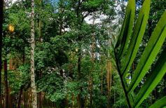 Apartament nad Zalewem - Foto 28