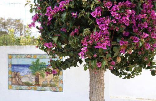 Pine Tree Seaside Apartments 500m to Beach - Foto 38