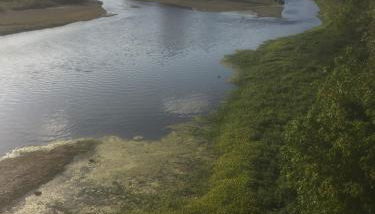 Appartement 1 chambre - Foto 4