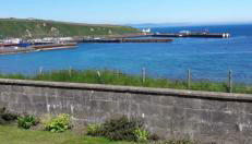 Four waves - Foto 1, Garden